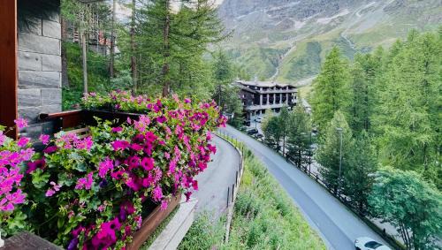 Cervinia Apartment | Panoramic Apartment