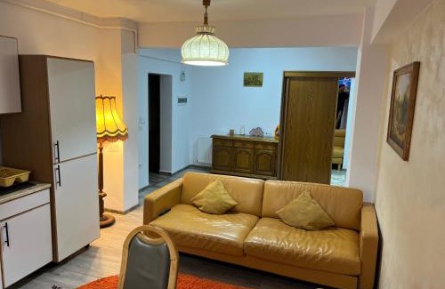 Tirgu Neamt Apartment | Panoramic La Cetate