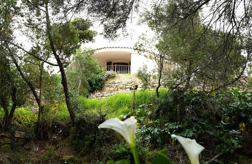 La Conia Apartment | Panoramic Villa in Cannigione - Relaxation between Sea and Nature
