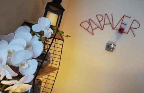 Zielona Gora Apartment | Papaver Apartament