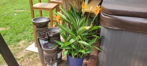 Northwest Pensacola Bed & Breakfast | Paradise Home Away From Home