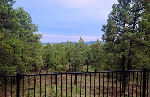 Hermosa House | Paradise in the Pines - 10 miles to Mt. Rushmore - 6 miles to Custer State Park