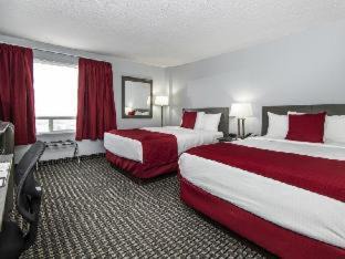 Grande Prairie Hotel | Paradise Inn & Conference Centre