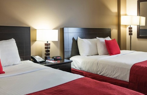 Grande Prairie Hotel | Paradise Inn & Conference Centre