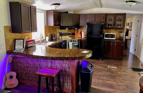 Dade City Villa | ★Paradise Palms Tiki Villa★