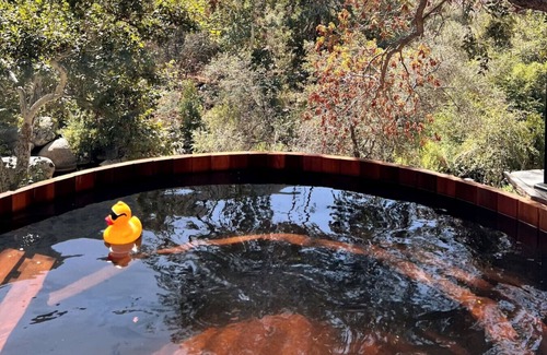 Three Rivers House | Paradise Ranch Inn- Infinite House Hot Tub,Sauna.
