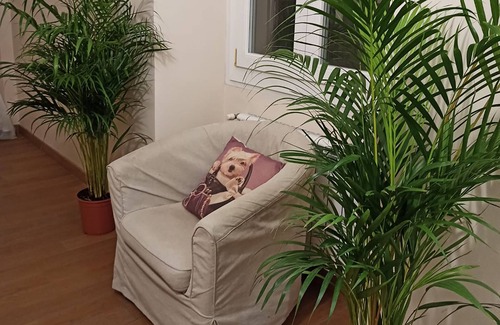 Foce House | Paradise Rooms