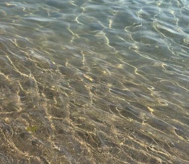 Agnone House | Paradiso fronte Mare