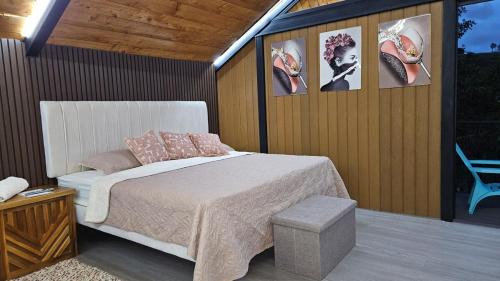 Roble Ski Chalet | Paraiso