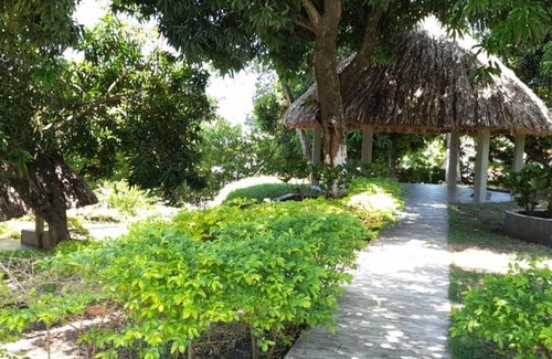 Guayabal House | PARAISO CVS ARMERO GUAYABAL