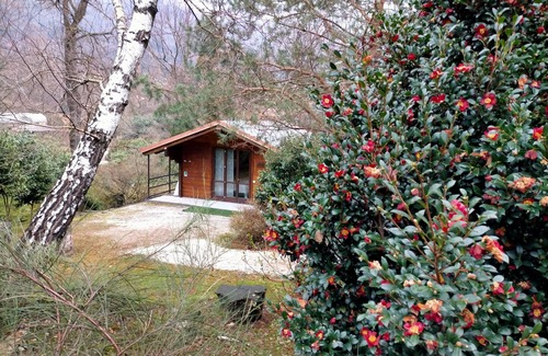 Mergozzo Ski Chalet | Parco Botanico Fiorlago