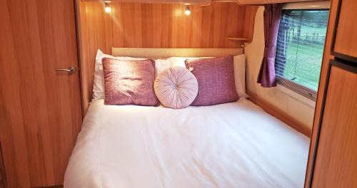 New Forest District Other | Park Farm Holidays Glamping