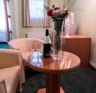 Mali Radic Hotel | Park Hotel