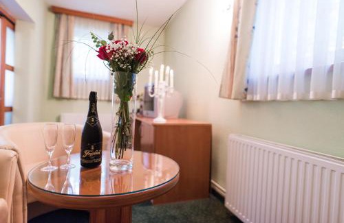 Mali Radic Hotel | Park Hotel