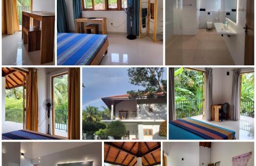 Negombo House | Parrot Paradise Negombo