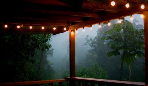 Chameza Cabin | Paseo Por Las Nubes Birding Lodge