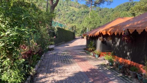 Kuthar House | Patial Home Stay