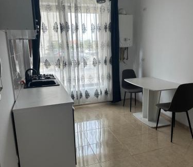 Timisoara Apartment | Patris Place