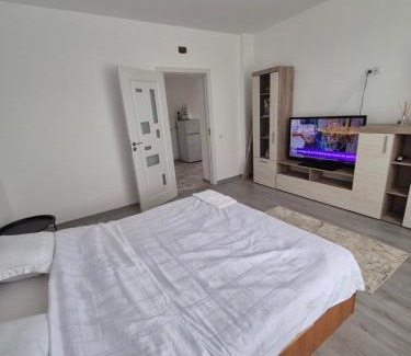 Ocna Mures House | Paul's Houses