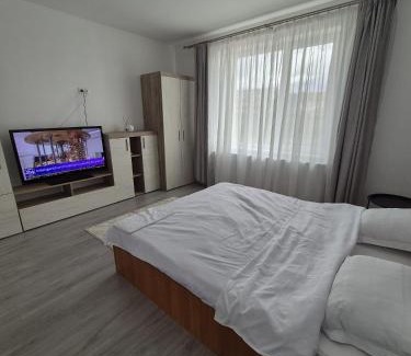 Ocna Mures House | Paul's Houses