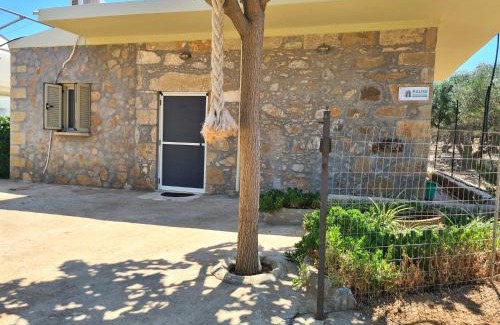 Limeniskos House | Pause Serenity House into Olive Groves