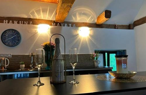 Borovany Apartment | Peškův mlýn - apartmán