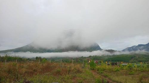 Chiang Dao Ski Chalet | Peace and harmony