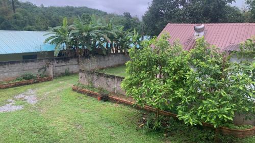 Chiang Dao Ski Chalet | Peace and harmony