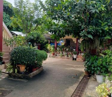 Tawala Apartment | Peace Lily Studio Apartments Panglao