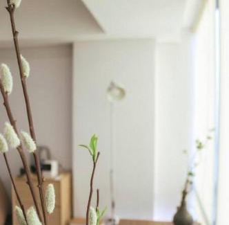 Pinang Apartment | Peaceful 1BR Japanese Style Apartment Alam Sutera