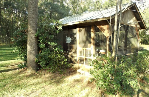 Brooksville House | Peaceful 2.5 acres setting in horse country - sit back and relax