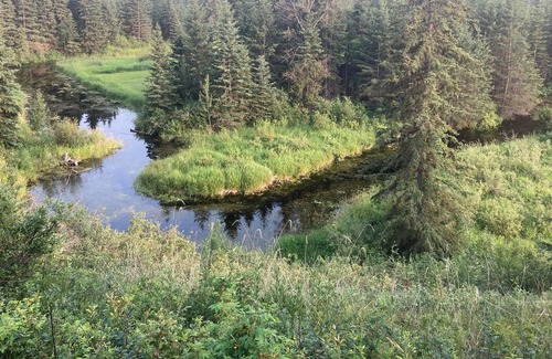 Central Alberta Cabin | Peaceful Cabin near Onoway, AB