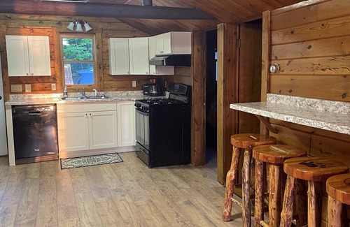 Winter Cabin | Peaceful Cabin on Lake with Pontoon-Fall dates still open.