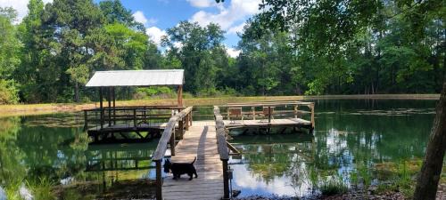 Claxton House | Peaceful Cabin with Dock and Pond Views in Georgia