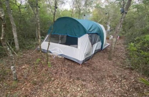 Edgar RV Rental | Peaceful campsite -head of Ocala National Forest trails.