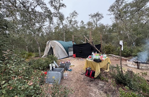 Edgar RV Rental | Peaceful campsite -head of Ocala National Forest trails.