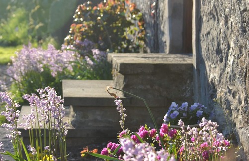 Murthly Cottage | Peaceful, cosy cottage in idyllic Highland Perthshire in beautiful scenery