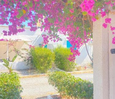 Messini House | Peaceful Cottage House - Private Garden