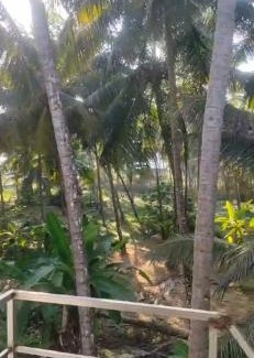 Kannur House | Peaceful Homestay near Kizhunna Beach
