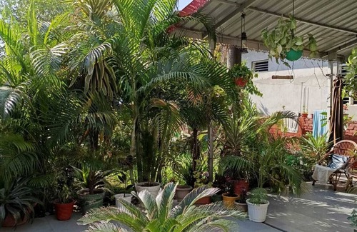 Rishikesh House | Peaceful house with WiFi in charming Rishikesh