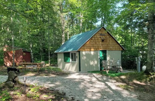 McMillan Cabin | Peaceful Little Cabin