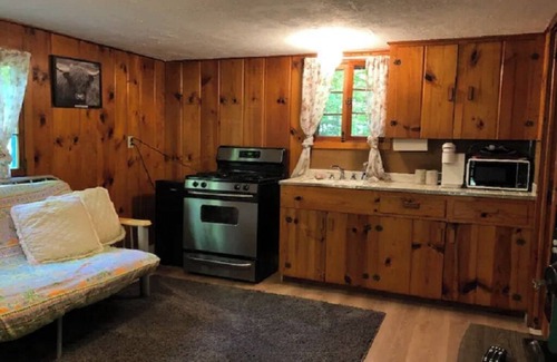 Carp Lake Cabin | Peaceful MI Cabin - FirePit, 10 Mins to Mackinac Island