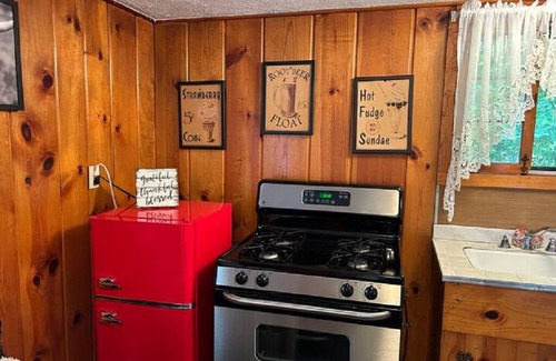 Carp Lake Cabin | Peaceful MI Cabin - FirePit, 10 Mins to Mackinac Island