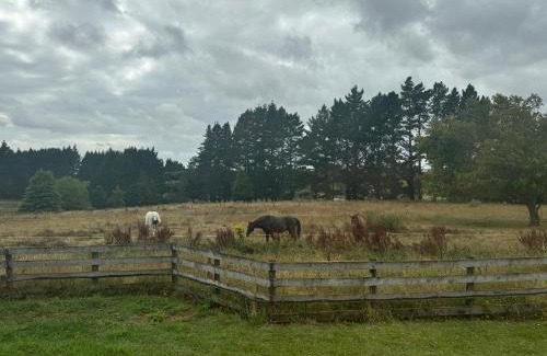 Pokeno House | Peaceful place