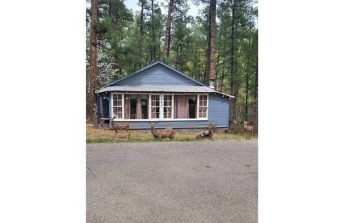 Ruidoso Cabin | Peaceful, Quiet, Relaxing in Paradise Canyon