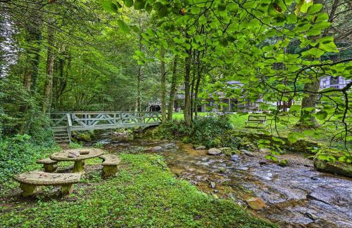 Roan Mountain House | Peaceful Roan Mountain Escape On-Site Creek!