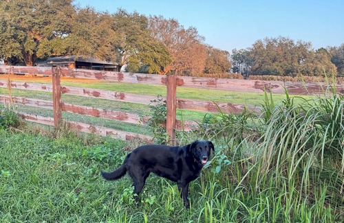 Clermont Other | Peaceful RV Parking in Clermont/Groveland