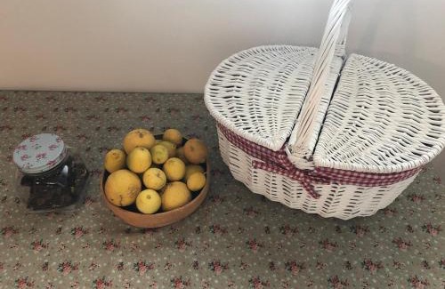 Modiin House | Peaceful Stay Between Tel Aviv, Jerusalem & the Airport