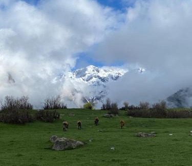 Mazeri House | Peak Mazeri Guest House