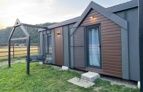Zarnesti Cabin | Peak View Tiny House